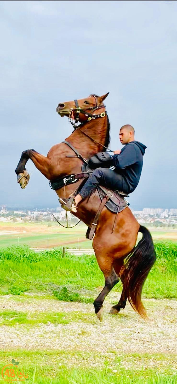 صور: مجموعة من شباب مدينة يافا تستهويهم رياضة الفروسية وركوب الخيل 